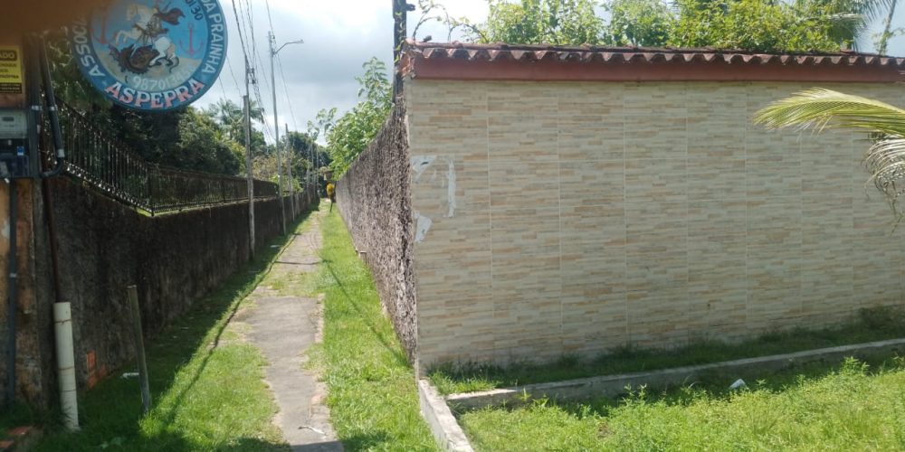 FOTO5
