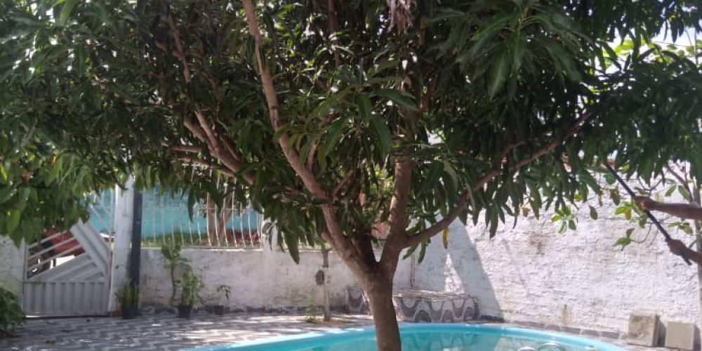 Imagem 2