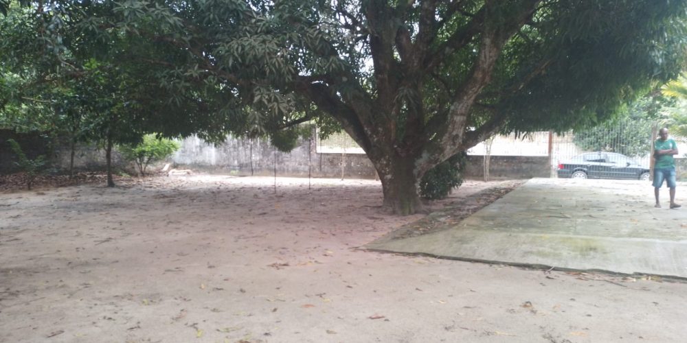 Imagem 7